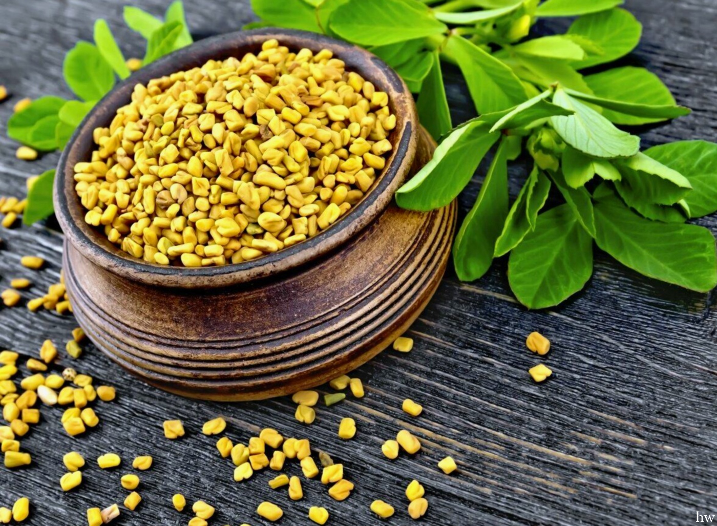 12 исключительных свойств семян пажитника - рис