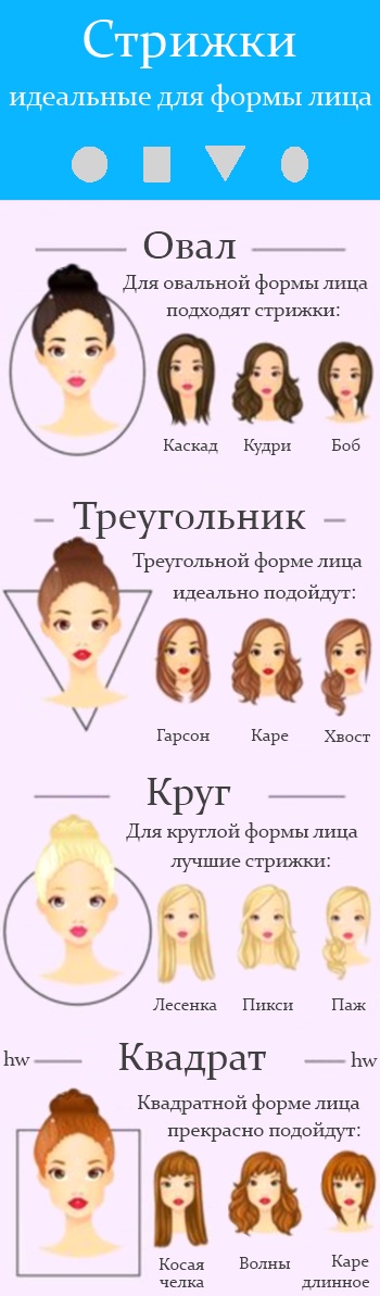 инфографика формы лица - hair world